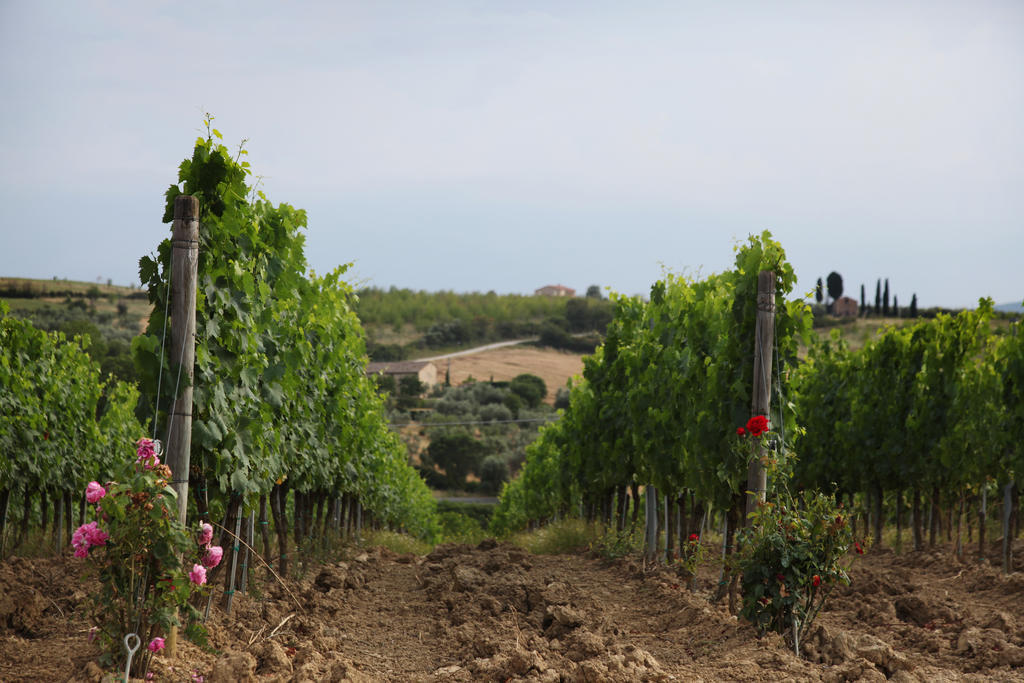 Agriturismo Bagnaia San Quirico d'Orcia Ngoại thất bức ảnh