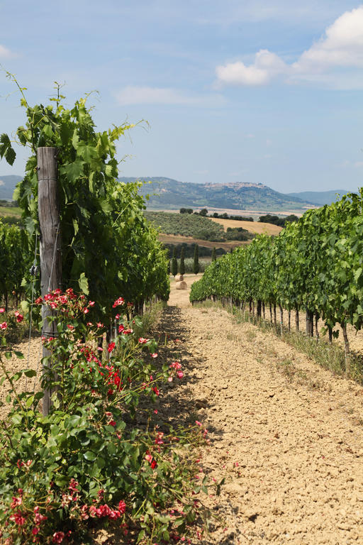 Agriturismo Bagnaia San Quirico d'Orcia Ngoại thất bức ảnh