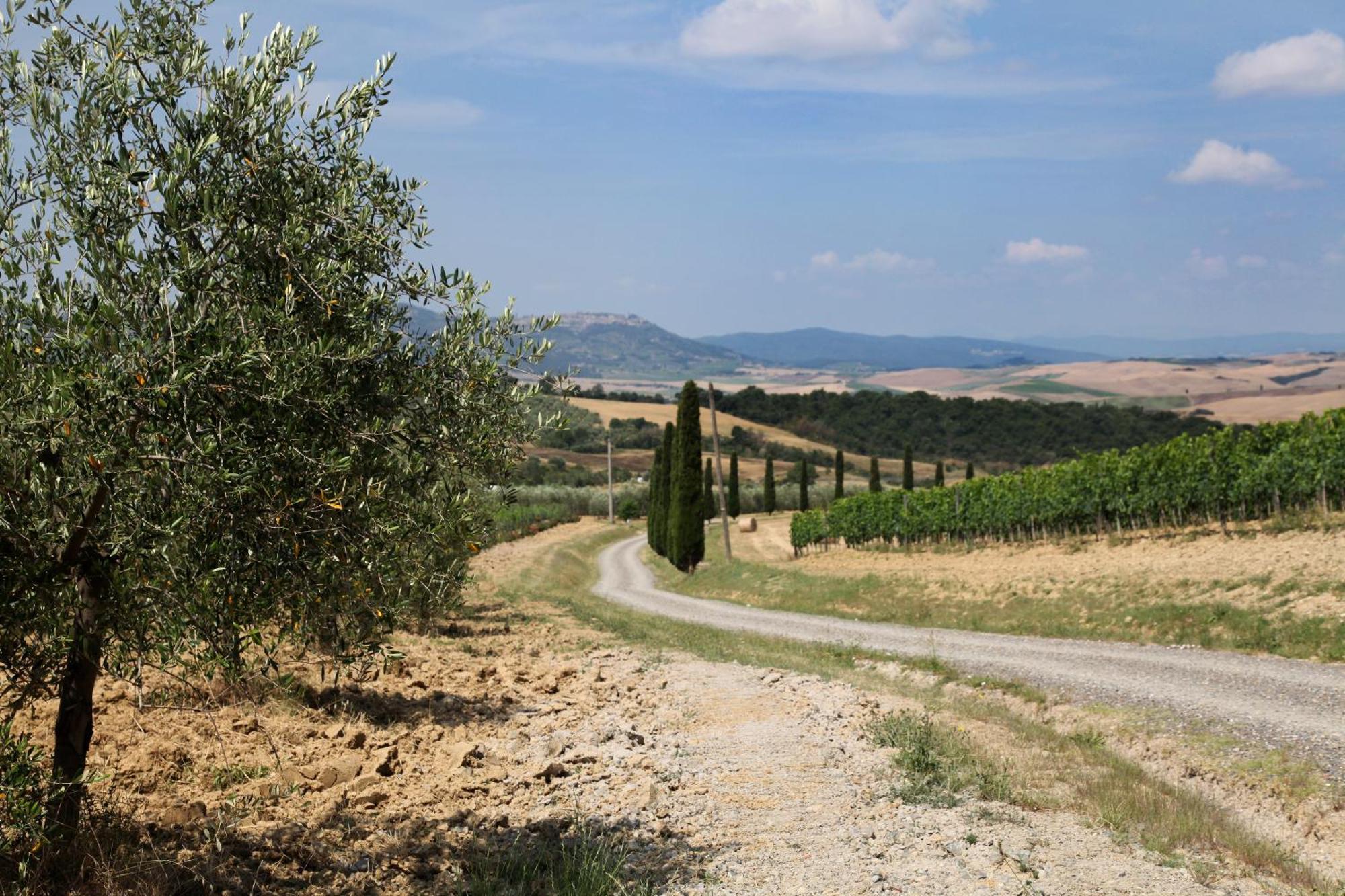 Agriturismo Bagnaia San Quirico d'Orcia Ngoại thất bức ảnh