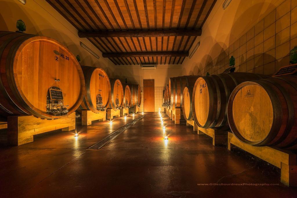 Agriturismo Bagnaia San Quirico d'Orcia Ngoại thất bức ảnh