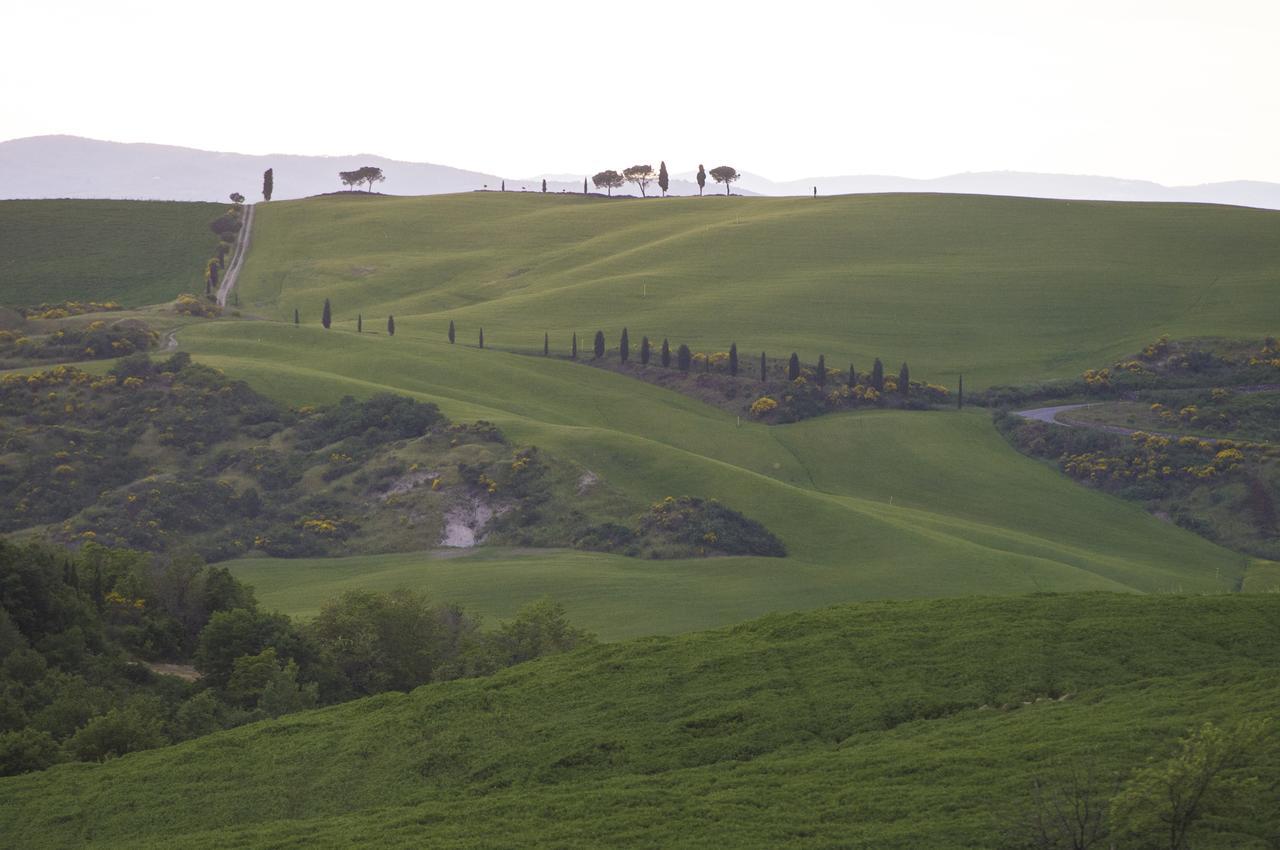 Agriturismo Bagnaia San Quirico d'Orcia Ngoại thất bức ảnh