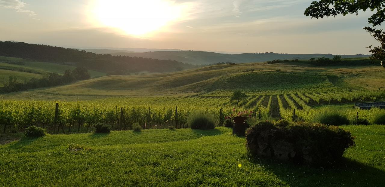 Agriturismo Bagnaia San Quirico d'Orcia Ngoại thất bức ảnh